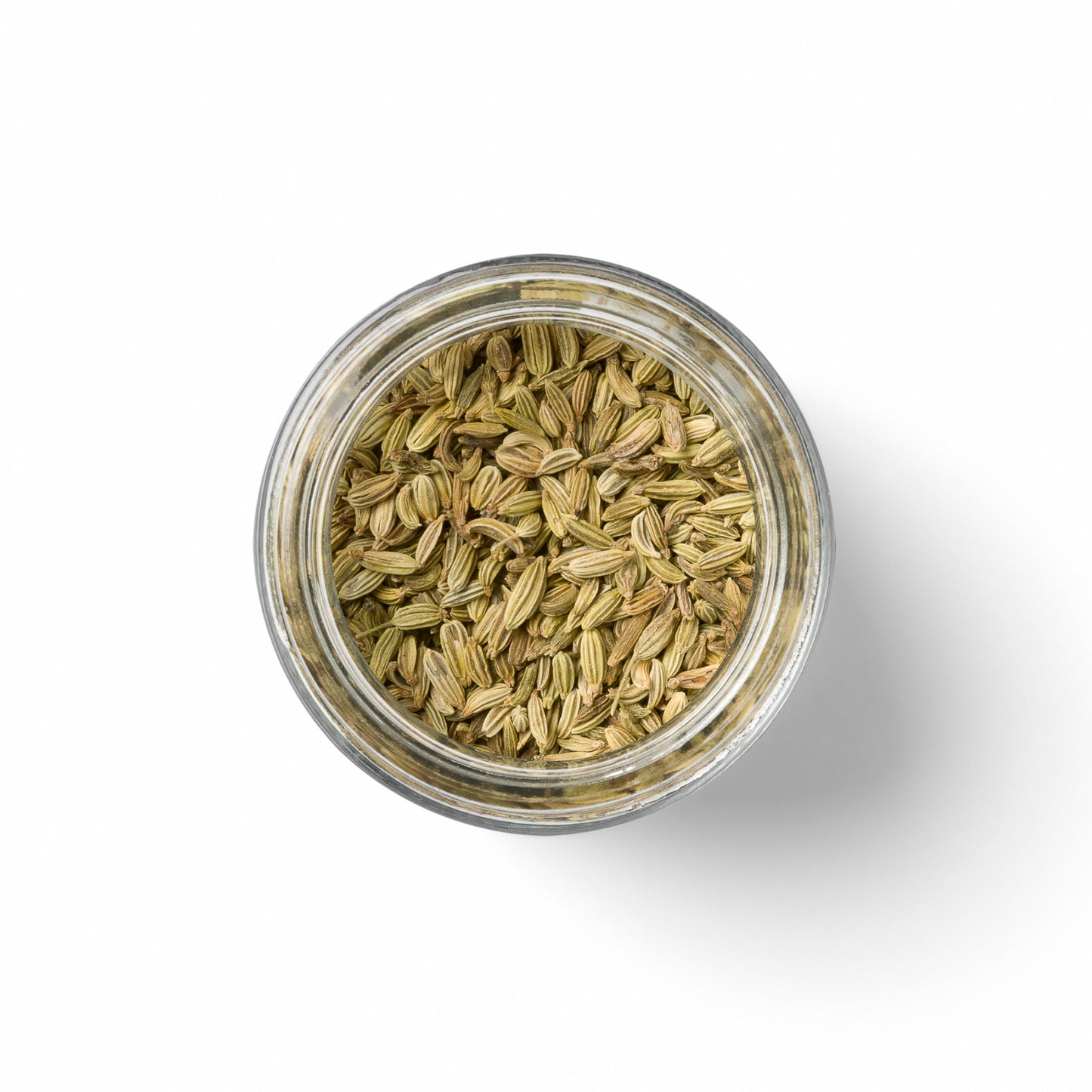 Fennel - Organic